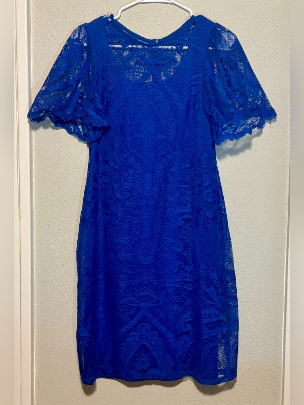 Royal Blue Lace Mini Dress with Flutter Sleeves